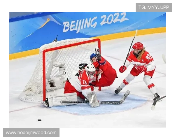 冬奥冰球赛团结球迷举旗挺丹麦