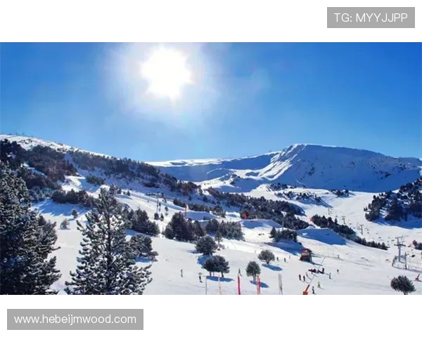 冬奥奇景中国居首失金韩国逼近